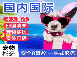 六盘水月照空运地址国际宠物托运 【国